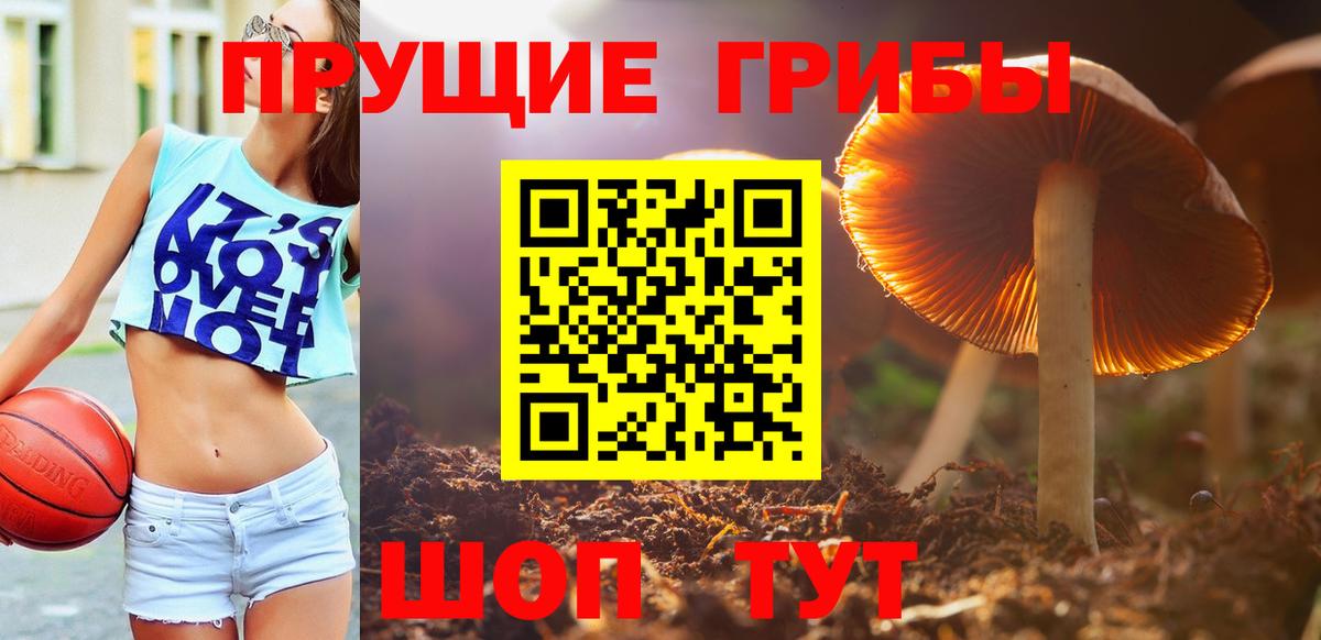 Галлюциногенные грибы GOLDEN TEACHER Шадринск