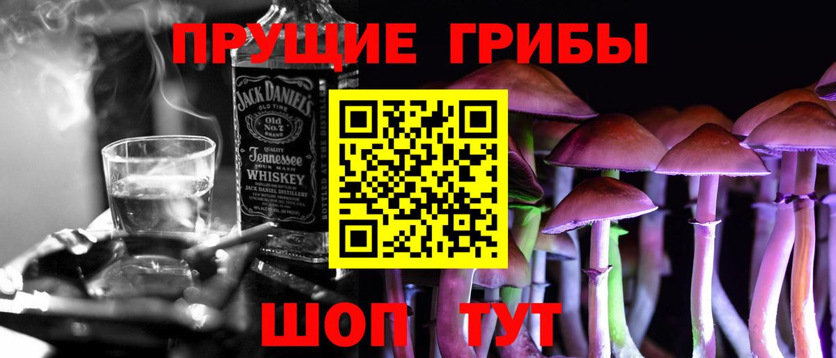 Шадринск  Галлюциногенные грибы мицелий  Вход с VPN 